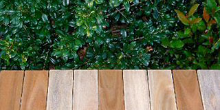 LifePlus classic finish timber decking